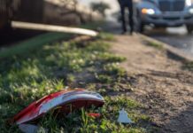Accidentes de tránsito le cuestan a México cerca de 0.3% del PIB al año, advierte ONG La estimación, sin embargo, solo contempla una parte del impacto económico, pues deja fuera otros rubros como los daños materiales y la atención médica de largo plazo de las personas lesionadas.