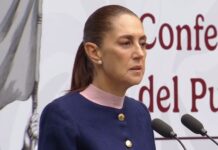 “No fue a Argentina a ese tema”: Sheinbaum niega la participación de García Harfuch en resolver el traslado de Farías Laguna Esta semana, el funcionario viajó a Argentina para la Conferencia Internacional para el Control de Drogas, pero la mandataria descartó este jueves que tuviera otra tarea prevista en su visita.