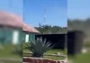 Helicóptero de la Fuerza Aérea se accidentó en Pueblo Nuevo, Durango; hay 4 militares heridos Durango, Dgo., 28 Ago-26 (Agencias/VRed).- Durango, Dgo. Cuatro militares resultaron lesionados, uno de ellos con necesidad de hospitalización, luego de que un helicóptero de la Fuerza Aérea Mexicana se accidentara este viernes en las inmediaciones de El Salto, municipio de Pueblo Nuevo, donde viajaban ocho elementos, además del piloto. El percance ocurrió dentro del Campo Militar 10-C, sede de la Segunda Compañía de Infantería, hasta donde se movilizaron elementos de emergencia para atender a los militares. De manera preliminar se informó que la aeronave había despegado durante la mañana del Campo Militar 5 de Mayo, en la ciudad de Durango, y posteriormente se trasladó hacia la región militar ubicada en El Salto. Sobre las causas del accidente inicialmente trascendió que el rotor habría alcanzado un árbol mientras la aeronave realizaba maniobras; provocando que el piloto perdiera el control; posteriormente se indicó que el helicóptero habría sufrido una falla en el motor. De los ocho militares que viajaban en la aeronave, cuatro resultaron lesionados, aunque únicamente uno requirió ser trasladado al Hospital del IMSS de El Salto. Hasta el momento no se ha informado oficialmente sobre la gravedad de sus lesiones. Personal militar mantiene las investigaciones para establecer las causas del accidente y determinar las condiciones en las que ocurrió, así como el tipo de operación que realizaba la aeronave. El helicóptero accidentado es el mismo que, apenas el pasado miércoles, participó en un operativo militar realizado en el centro comercial más grande de la ciudad de Durango, intervención en la que fueron detenidas dos personas. Aseguran 39 armas en El Oro En un operativo realizado en Durango, elementos del Ejército Mexicano aseguraron 39 armas de fuego, mil 482 cartuchos y 63 cargadores, además de droga y tres chalecos tácticos, en el municipio de El Oro. El aseguramiento se realizó sobre la carretera Santa María del Oro-Entronque Guanaceví, donde los militares localizaron un vehículo que llamó su atención y procedieron a inspeccionarlo. Durante la revisión fueron encontradas 13 armas largas y 26 armas cortas, para un total de 39 armas de fuego, así como los cargadores y cartuchos de diferentes calibres. En la unidad también fueron localizadas dosis de diferentes tipos de droga, aunque el reporte oficial del Gabinete de Seguridad del Gobierno de México no precisó la cantidad ni las sustancias aseguradas. El vehículo, el armamento, las municiones, la droga y el equipo táctico quedaron bajo resguardo de las autoridades correspondientes, que continuarán con las investigaciones para determinar la procedencia del arsenal y establecer quiénes serían sus propietarios. Ambos hechos se registraron dentro de las acciones de seguridad desplegadas por fuerzas federales en Durango durante esta semana.