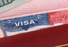 EU alista su revocación de visas más cuantiosa en la historia; podría afectar hasta a 200 mil personas De concretarse, sería la revocación de visas más numerosas en la historia de Estados Unidos y probablemente enfrentaría impugnaciones legales.