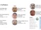 EU sanciona a 15 objetivos de Ecuador ligados al CJNG y el Cártel de Sinaloa; bloquea 10 embarcaciones De acuerdo con la información compartida, esta red está implicada en el tráfico de cocaína en lanchas rápidas desde Ecuador y hacia el norte del Pacífico; el narcótico logra llegar a Estados Unidos con el apoyo de los cárteles mexicanos.