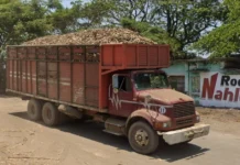 Anuncia Nahle que el Ingenio azucarero San Pedro será devuelto a la Federación Cabe recordar que de San Pedro dependen más de 500 trabajadores del ingenio, además de cientos de productores, cortadores de caña y otras personas relacionadas con la industria que habitan en los municipios de Lerdo de Tejada, Ángel R. Cabada y Saltabarranca.