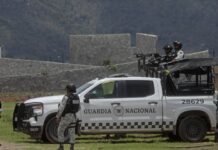 Catean finca en Jalisco tras reportes de privación de la libertad a mujeres; hay un detenido Al arribo, las autoridades se identificaron y, según apuntan, al no recibir respuesta, decidieron ingresar; Fernando "N" se encontraba en la parte superior de la finca tras percatarse de la presencia de los elementos de seguridad , y optó por escapar.