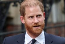 El príncipe Harry abandona la ONG African Parks en el marco de su regreso al Reino Unido El príncipe Harry, hijo menor del rey británico Carlos III, ha abandonado su puesto en el consejo de administración de African Parks, según informó este lunes la ONG dedicada a la conservación de la fauna en el continente africano.