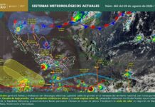 Ola de calor golpeará cinco estados en México, mientras autoridades vigilan una zona en Oaxaca con probabilidad para ciclón tropical Ante las altas temperaturas, el SMN recomendó mantener una hidratación adecuada, utilizar ropa de manga larga y colores claros, evitar permanecer durante periodos prolongados bajo el Sol y prestar especial atención a niñas, niños y personas adultas mayores.