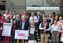 “Somos” presenta al INE nuevo nombre y emblema tras mandamiento del Tribunal Electoral En el escrito que entregaron en la Oficialía de Partes del INE, los dirigentes de “Somos” dijeron que el INE “debe revisar el nuevo diseño sin imponer directamente un nombre, emblema, combinación cromática o diseño especifico y siempre respetando la auto organización del partido y el derecho de audiencia”.