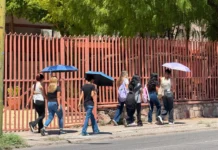 Sonora enfrenta calor extremo de hasta 47 grados; suman 22 muertes Las recomendaciones incluyen evitar actividades físicas prolongadas al aire libre durante las horas de mayor calor y no dejar dentro de vehículos estacionados a niñas, niños, adultos mayores ni mascotas, debido al rápido incremento de la temperatura en el interior de las unidades.
