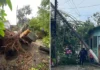Fuerte tromba afecta sur de Veracruz; reportan daños materiales en Las Choapas y Coatzacoalcos Las precipitaciones de agua fueron acompañadas por ráfagas de viento e incluso granizo, lo que generó preocupación y sorpresa entre la ciudadanía, además de que se activaron protocolos de emergencia.