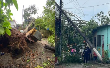 Fuerte tromba afecta sur de Veracruz; reportan daños materiales en Las Choapas y Coatzacoalcos Las precipitaciones de agua fueron acompañadas por ráfagas de viento e incluso granizo, lo que generó preocupación y sorpresa entre la ciudadanía, además de que se activaron protocolos de emergencia.