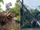 Fuerte tromba afecta sur de Veracruz; reportan daños materiales en Las Choapas y Coatzacoalcos Las precipitaciones de agua fueron acompañadas por ráfagas de viento e incluso granizo, lo que generó preocupación y sorpresa entre la ciudadanía, además de que se activaron protocolos de emergencia.