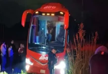 Hombres armados asaltan a pasajeros de un autobús en Veracruz y los despojan de sus pertenencias Asalto a autobús en Veracruz: Hombres armados despojan a pasajeros