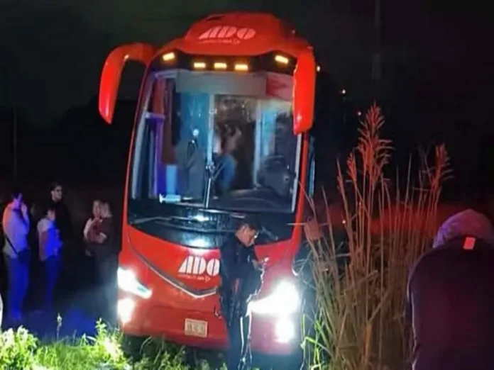 Asalto a autobús en Veracruz Asalto a autobús en Veracruz: Hombres armados despojan a pasajeros