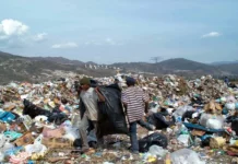 Basura, negocio de más de 50 mil millones de pesos al año en México Basura en México: un negocio que genera millones de pesos
