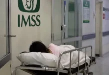 Fiscalía de Tamaulipas atrae caso de niña de 11 años embarazada; garantiza protección a la menor Embarazo adolescente en Tamaulipas bajo investigación