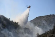 Incendios forestales arden en Bélgica, Reino Unido, Francia y Grecia; hay dos muertos en una isla cerca de Atenas Incendios forestales en Bélgica y Grecia causan daños