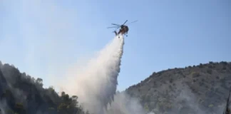 Incendios forestales arden en Bélgica, Reino Unido, Francia y Grecia; hay dos muertos en una isla cerca de Atenas Incendios forestales en Bélgica y Grecia causan daños
