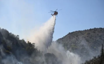 Incendios forestales arden en Bélgica, Reino Unido, Francia y Grecia; hay dos muertos en una isla cerca de Atenas Incendios forestales en Bélgica y Grecia causan daños