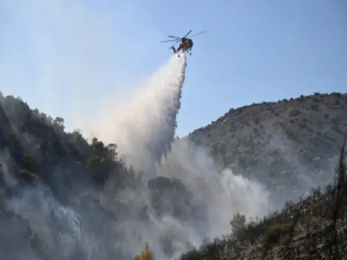 Incendios forestales en Europa Incendios forestales en Bélgica y Grecia causan daños