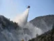 Incendios forestales arden en Bélgica, Reino Unido, Francia y Grecia; hay dos muertos en una isla cerca de Atenas Incendios forestales en Bélgica y Grecia causan daños