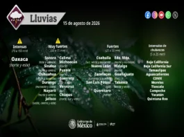Alerta por lluvias intensas en Veracruz y el resto del país debido a ondas tropicales Lluvias intensas en México causadas por ondas tropicales y monzón