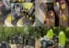 Aseguran arsenal y más de 59 mil dosis de droga en una casa de seguridad al norte de Veracruz Imagen de 59 mil dosis de droga y arsenal incautados en Tempoal, Veracruz