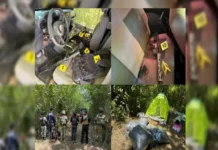 Aseguran arsenal y más de 59 mil dosis de droga en una casa de seguridad al norte de Veracruz Imagen de 59 mil dosis de droga y arsenal incautados en Tempoal, Veracruz