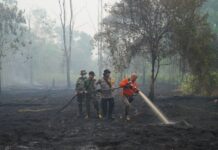 Proyectan hasta 451 mil muertes adicionales en el mundo debido al calor causado por El Niño Con cifras tan abrumadoras, el informe indica que hay medidas recomendadas que los gobiernos pueden adoptar. Entre ellas figuran sistemas de alerta por calor, centros de enfriamiento, puntos de hidratación, protecciones para los trabajadores al aire libre, ampliación de la capacidad hospitalaria y acciones de alcance dirigidas a las personas mayores y otros grupos vulnerables.