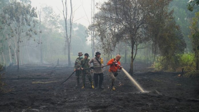 El Niño-Muertes Con cifras tan abrumadoras, el informe indica que hay medidas recomendadas que los gobiernos pueden adoptar. Entre ellas figuran sistemas de alerta por calor, centros de enfriamiento, puntos de hidratación, protecciones para los trabajadores al aire libre, ampliación de la capacidad hospitalaria y acciones de alcance dirigidas a las personas mayores y otros grupos vulnerables.
