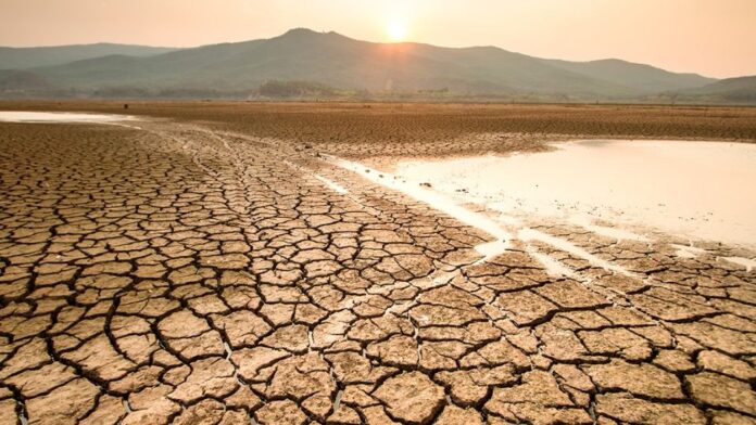 El experto habló de tres consecuencias del fenómeno: las pérdidas generalizadas de cultivo, el alto costo de los alimentos y, ante las pérdidas, la falta de contrataciones en el campo; todo ello genera inseguridad alimentaria para la población. Ante ello la baja respuesta de los gobiernos y la poca inversión en las zonas agrava la situación, agregó.