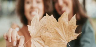 El otoño no solo cambia el clima, también nuestra manera de vivir nuestros días Imagen que muestra los beneficios del otoño para la salud y el ocio