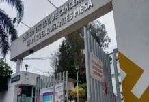 Brote de sarampión en Veracruz fue notificado a la federación hace una semana, asegura Nahle; niega dos muertes Imagen del brote de sarampión en Veracruz con personal médico