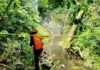 Recuperan cuerpo de hombre tras caer en barranca de 300 metros en Las Minas Imagen del rescate tras caída barranca Veracruz