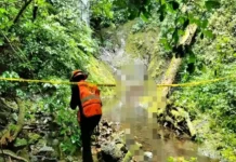 Recuperan cuerpo de hombre tras caer en barranca de 300 metros en Las Minas Imagen del rescate tras caída barranca Veracruz