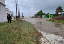 Huracán ‘Polo’: Comondú, Loreto y Mulegé, BCS, en alerta roja; mar comienza a salirse en puerto San Carlos Imagen del ciclón San Carlos inundando el puerto de San Carlos