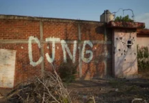 Reportan que integrante del CJNG detenido en República Checa ofreció fianza de más de un mdd; autoridades le niegan el recurso Imagen del CJNG detenido en Checa durante audiencia judicial