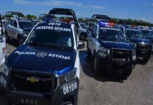 Hallan los cuerpos de dos personas en Campeche cerca de las vías del Tren Maya Imagen de cuerpos cerca del Tren Maya en zona de terracería