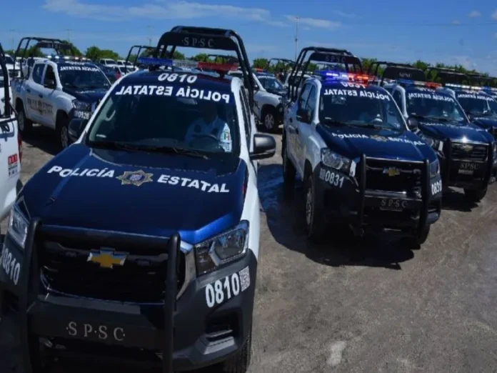 Cuerpos hallados cerca del Tren Maya en Escárcega Imagen de cuerpos cerca del Tren Maya en zona de terracería
