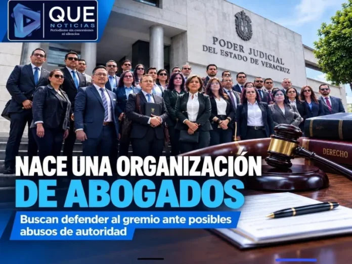 Abogados de Veracruz forman organización para defensa de abogados Imagen que representa la defensa de abogados en Veracruz