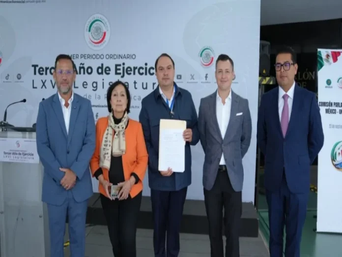 Denuncia IMSS Veracruz presentada por Movimiento Ciudadano Imagen de la denuncia IMSS Veracruz presentada ante la FGR