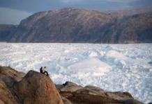 La tierra perdió 11 billones de toneladas de hielo en 45 años, muestran imágenes satelitales Vista del deshielo de glaciares mostrando pérdida masiva de hielo