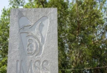 IMSS entrega a dos recién nacidas a las familias equivocadas en Mexicali; tras un mes, prueba de ADN confirma el error y son devueltas Imagen que ilustra el error entrega bebés en Mexicali y la devolución de los recién nacidos