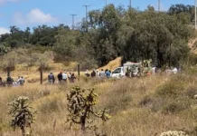 Hallan muerto al esposo de regidora de Temascalapa, Edomex esposo de regidora fallecido en San Mateo Teopancala