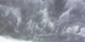 Cambio climático amenaza con extinguir un millón de especies hacia 2100: Julia Carabias Imagen que muestra la extinción de especies causada por el cambio climático