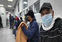 Hospitalizan a más de 20 personas en Veracruz tras exposición a guano de murciélago Imagen que muestra la exposición al guano de murciélago relacionada con histoplasmosis en Veracruz