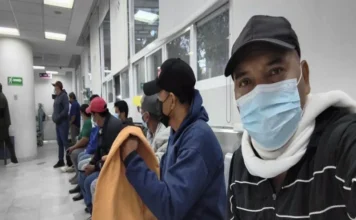 Hospitalizan a más de 20 personas en Veracruz tras exposición a guano de murciélago Imagen que muestra la exposición al guano de murciélago relacionada con histoplasmosis en Veracruz