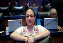 Karina Ruiz, senadora migrante de Morena, no puede salir de EU; autorizan su licencia en el Congreso Karina Ruiz licencia concedida por el Senado mientras está en EE.UU.