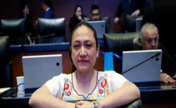 Karina Ruiz, senadora migrante de Morena, no puede salir de EU; autorizan su licencia en el Congreso Karina Ruiz licencia concedida por el Senado mientras está en EE.UU.