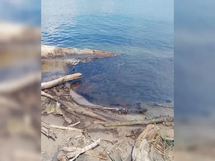 Mancha de hidrocarburo en el río Pánuco observada por autoridades mancha hidrocarburo Pánuco en el río