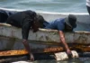 Obtienen amparo provisional 2 mil pescadores afectados por los derrames petroleros en el Golfo de México Imagen que muestra pescadores afectados por derrames de hidrocarburos en el Golfo