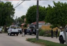 Descubren restos humanos en taxi en Coatzacoalcos; activan operativo Imagen que muestra bolsas con restos humanos taxi en la calle de Coatzacoalcos